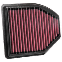 AEM 28-50035 DryFlow Air Filter