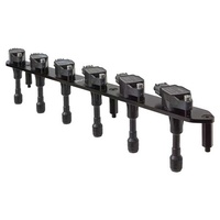 Raceworks RB20/25/26 Ignition Coil Bracket & 6X R35 GTR Hitachi Coils  IGC-505