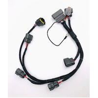Platinum Racing Products RB Coil Loom