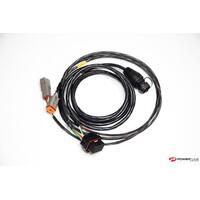 CAN to Keypad and C12* Dash Loom