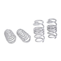 WHITELINE Lowering Springs - Tesla Model 3 - RWD