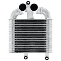 Jayrad Intercooler for Rodeo RA 03-08/TD Isuzu