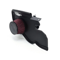 Cold Air Intake for BMW F10 F11 N55 535i (2011-2016) [N55 Engine] (BW-53501)