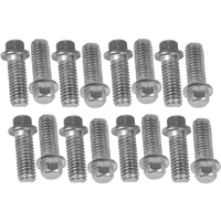 Proflow Header Bolts Hex Head 3/8 in. Stainless Steel For Chevrolet For Ford Set of 16