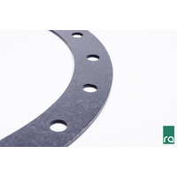 Radium Fuel Cell 24 Bolt Flange Gasket