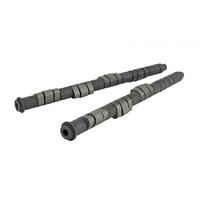 SKUNK2 PRO STAGE 2+ CAMSHAFT for H VTEC