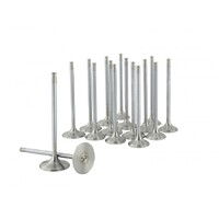 SKUNK2 ALPHA VALVES for HI COMP B SERIES 33MM/28MM