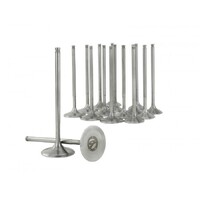 SKUNK2 ALPHA VALVES for STD COMP K SERIES 36MM/30MM