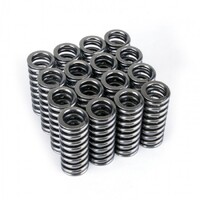 SKUNK2 ALPHA VALVE SPRING SET for SOHC D VTEC