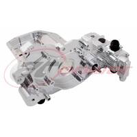 AT POWER THROTTLE SEMI - INTEGRATED SUMP KIT(SILVER) - MIT EVO 4-9