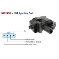 Raceworks LS1 Ignition Coil (incl. Plug & Pins)  IGC-500