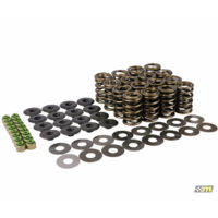Mountune V3 Camshaft and Valvespring Kit FOR Ford Focus RS Mk3 16-17