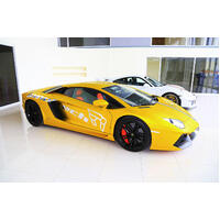 IPE (STAINLESS)EXHAUST SYSTEM Valvetronic Muffler + Tips(Polished Silver) Lamborghini Aventador LP700-4/720-4(2011 - 2016)