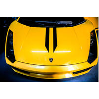 IPE (STAINLESS)EXHAUST SYSTEM Valvetronic Muffler Lamborghini Gallardo(2003 - 2008)