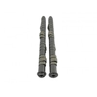 SKUNK2 TUNER STAGE 2 CAMSHAFT for B VTEC