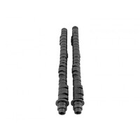 SKUNK2 TUNER DIC CAMSHAFT for K SERIES