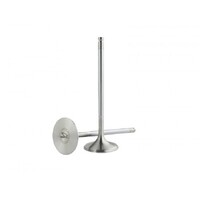 SKUNK2 ALPHA VALVES for HI COMP B SERIES 33MM/28MM