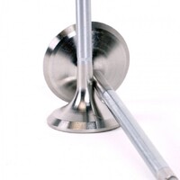SKUNK2 ALPHA VALVES for STD COMP H SERIES 35MM/30MM