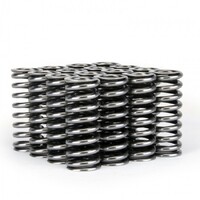 SKUNK2 ALPHA VALVE SPRING SET for SOHC D VTEC