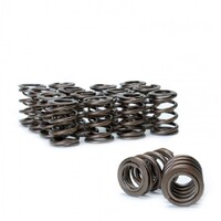 SKUNK2 ALPHA VALVE SPRING SET for DOHC B VTEC