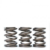 SKUNK2 ALPHA VALVE SPRING SET for DOHC H VTEC