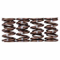SKUNK2 PRO XP VALVE SPRING SET for K20/K24 & F20C/F22C