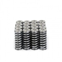 SKUNK2 ALPHA VALVE SPRING AND TI RETAINER KIT for SOHC D VTEC