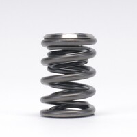 SKUNK2 ALPHA VALVE SPRING AND TI RETAINER KIT for K20/K24 & F20C/F22C