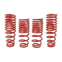 SKUNK2 LOWERING SPRINGS for '96-'00 CIVIC