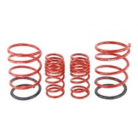SKUNK2 LOWERING SPRINGS for '02-'05 CIVIC EP3