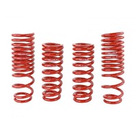 SKUNK2 LOWERING SPRINGS for '90-'93 INTEGRA