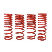 SKUNK2 LOWERING SPRINGS for '88-'91 CIVIC/ CRX