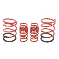 SKUNK2 LOWERING SPRINGS for '02-'04 DC5
