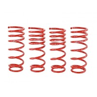 SKUNK2 LOWERING SPRINGS for '00-'09 S2000