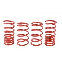 SKUNK2 LOWERING SPRINGS for '13+ BRZ/ FRS/ FT86