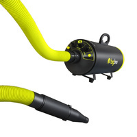 Bigboi Blowr Mini+ Touchless Car Drying Blower
