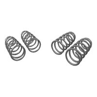 WHITELINE Lowering Springs - Tesla Model 3 - AWD