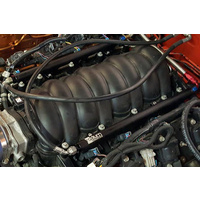 Radium Fuel Rails - GM LS Engine