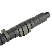 SKUNK2 TUNER STAGE 4 CAMSHAFT for D SERIES