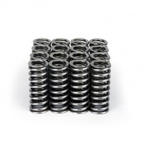 SKUNK2 ALPHA VALVE SPRING SET for SOHC D VTEC