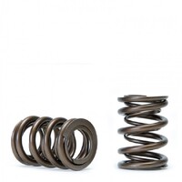 SKUNK2 ALPHA VALVE SPRING SET for DOHC B VTEC