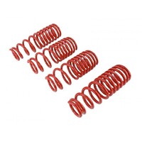 SKUNK2 LOWERING SPRINGS for '96-'00 CIVIC