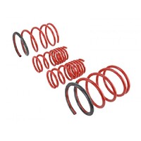 SKUNK2 LOWERING SPRINGS for '01-'05 CIVIC EX