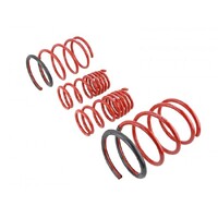 SKUNK2 LOWERING SPRINGS for '02-'05 CIVIC EP3