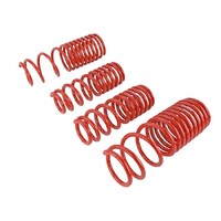 SKUNK2 LOWERING SPRINGS for '90-'97 ACCORD