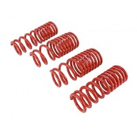 SKUNK2 LOWERING SPRINGS for '88-'91 CIVIC/ CRX