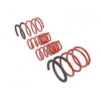 SKUNK2 LOWERING SPRINGS for '02-'04 DC5
