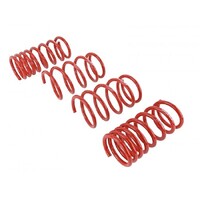 SKUNK2 LOWERING SPRINGS for '13+ BRZ/ FRS/ FT86