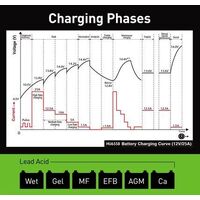 Hulk 4x4 12 Stage Fully Automatic Switchmode Battery Charger - 25 Amp 12/24V
