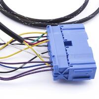 HYBRID RACING K20 SWAP CONVERSION WIRING HARNESS for CIVIC 01-05 